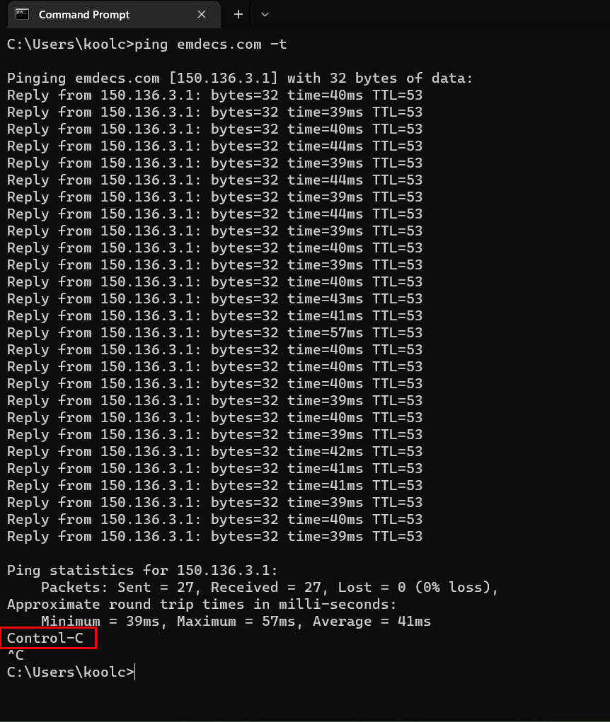 How to Perform a Ping Test